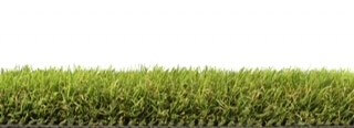 Grass Blossom