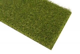 Grass Blossom