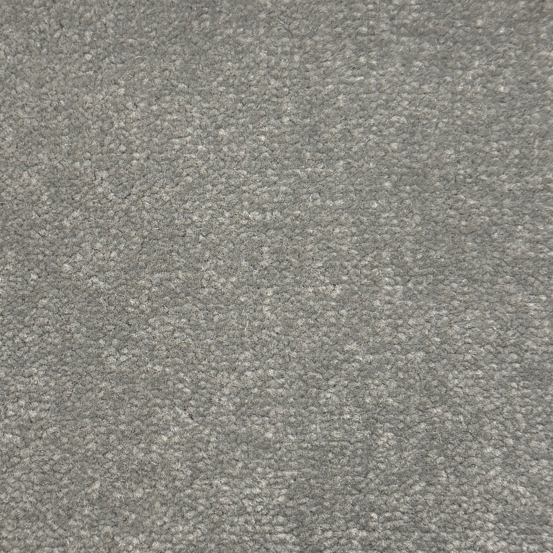 Windsor Velvet 561
