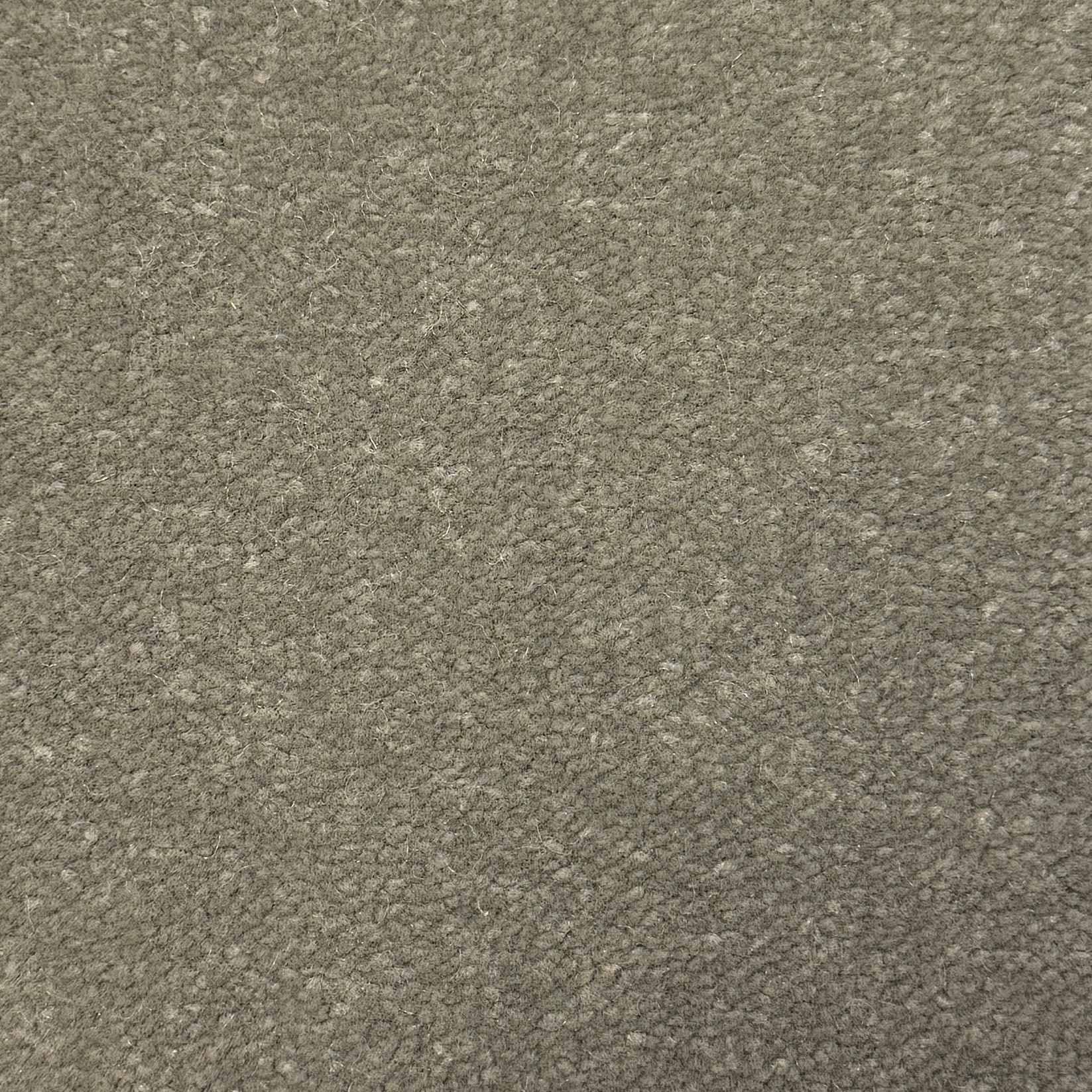 Windsor Velvet 562