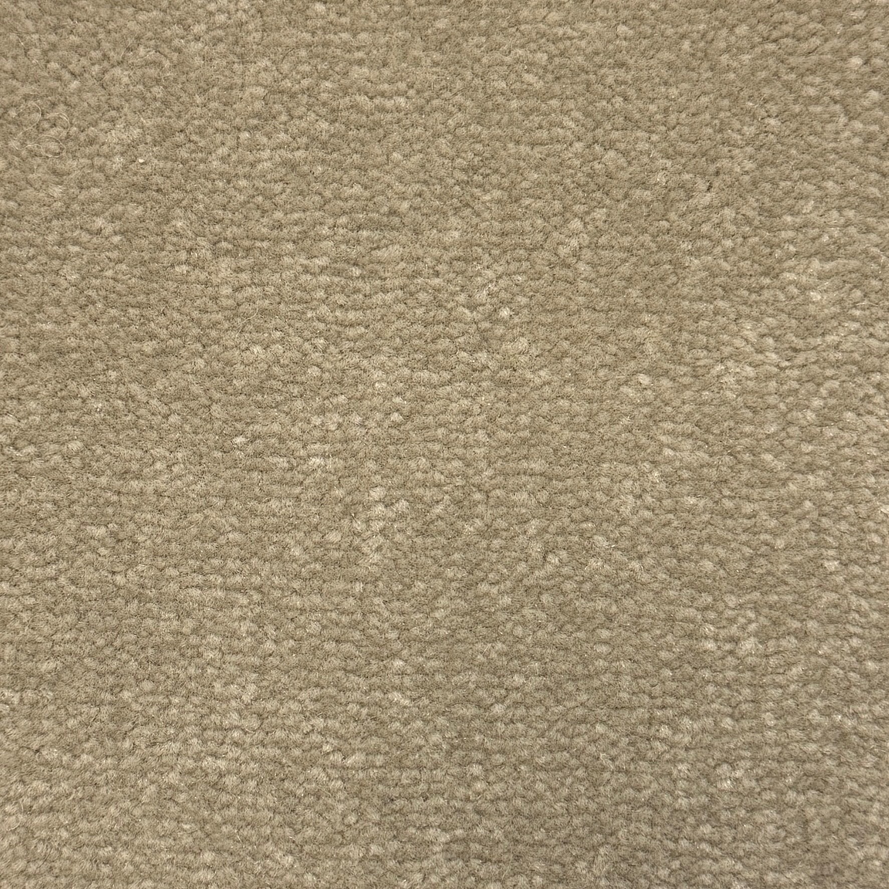 Windsor Velvet 571