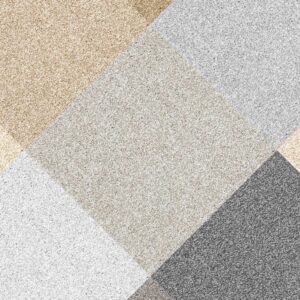 Splendid Soft Carpet
