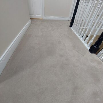 Windsor Velvet Taupe Stairs