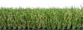 Grass Major