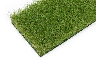Grass Major
