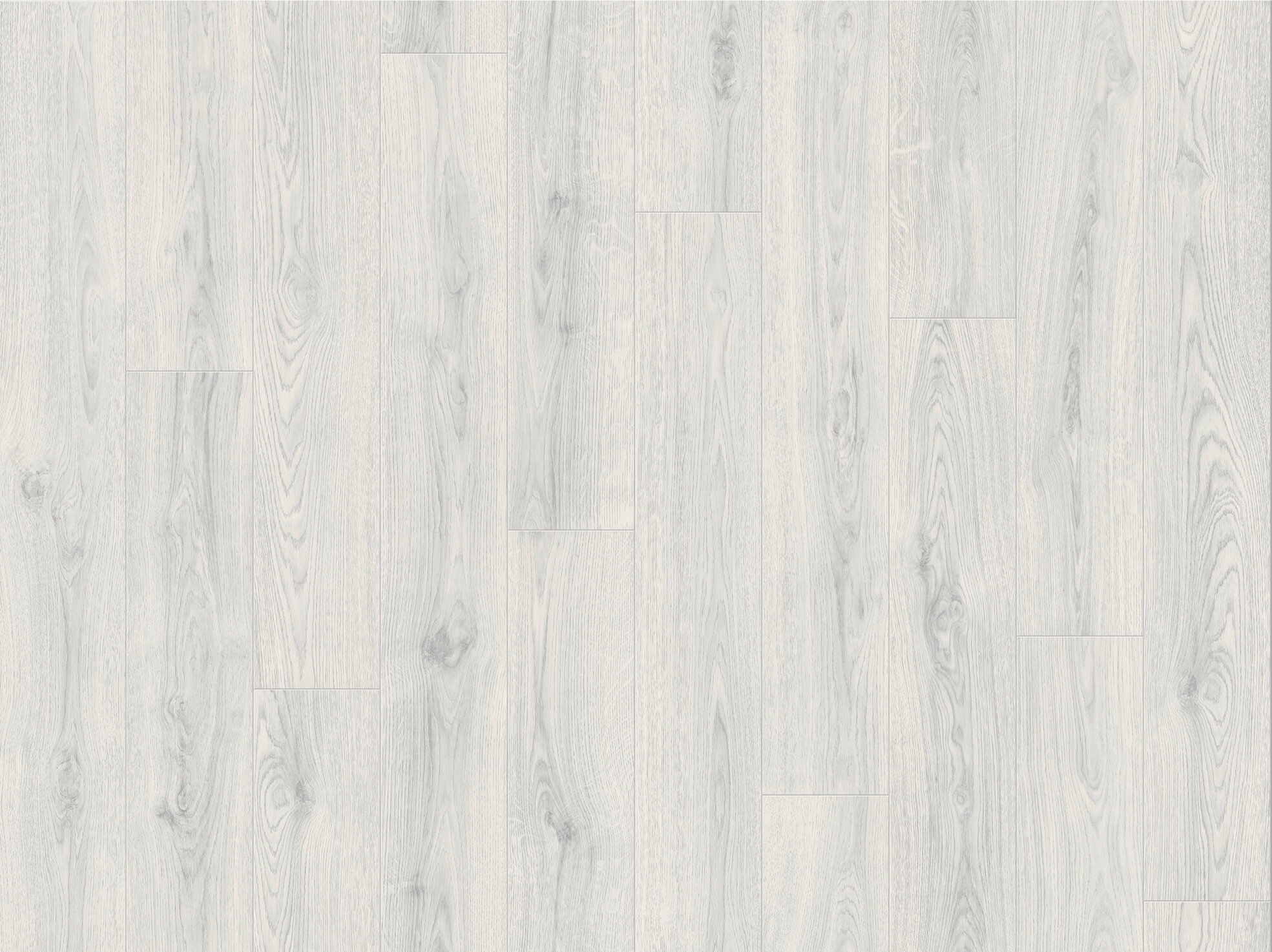 Cumbrian oak 009S
