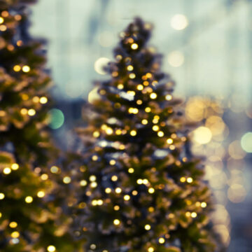 A-Christmas-Message-from-Phloor
