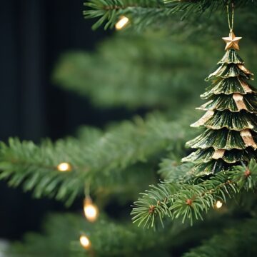 Christmas-Message-from-Phloor